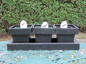 Plant labels made from old plastic medicine spoons